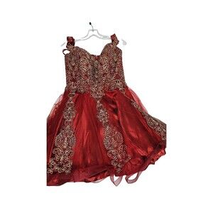 NWOT Anny Lee Red Sleeveless V Neckline Zipper Embroidered Women's Dress Size L